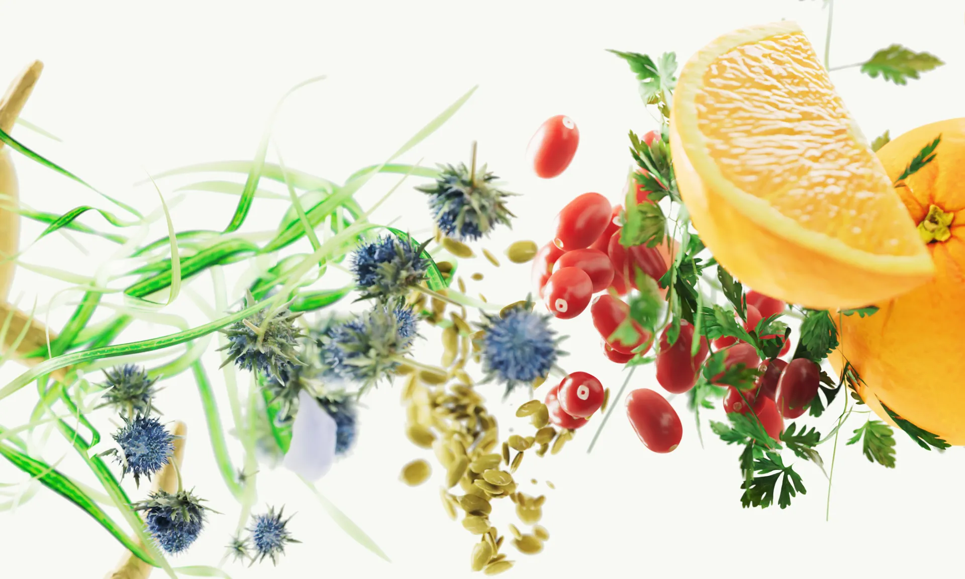 Gummies Render Ingredients 2200x1320