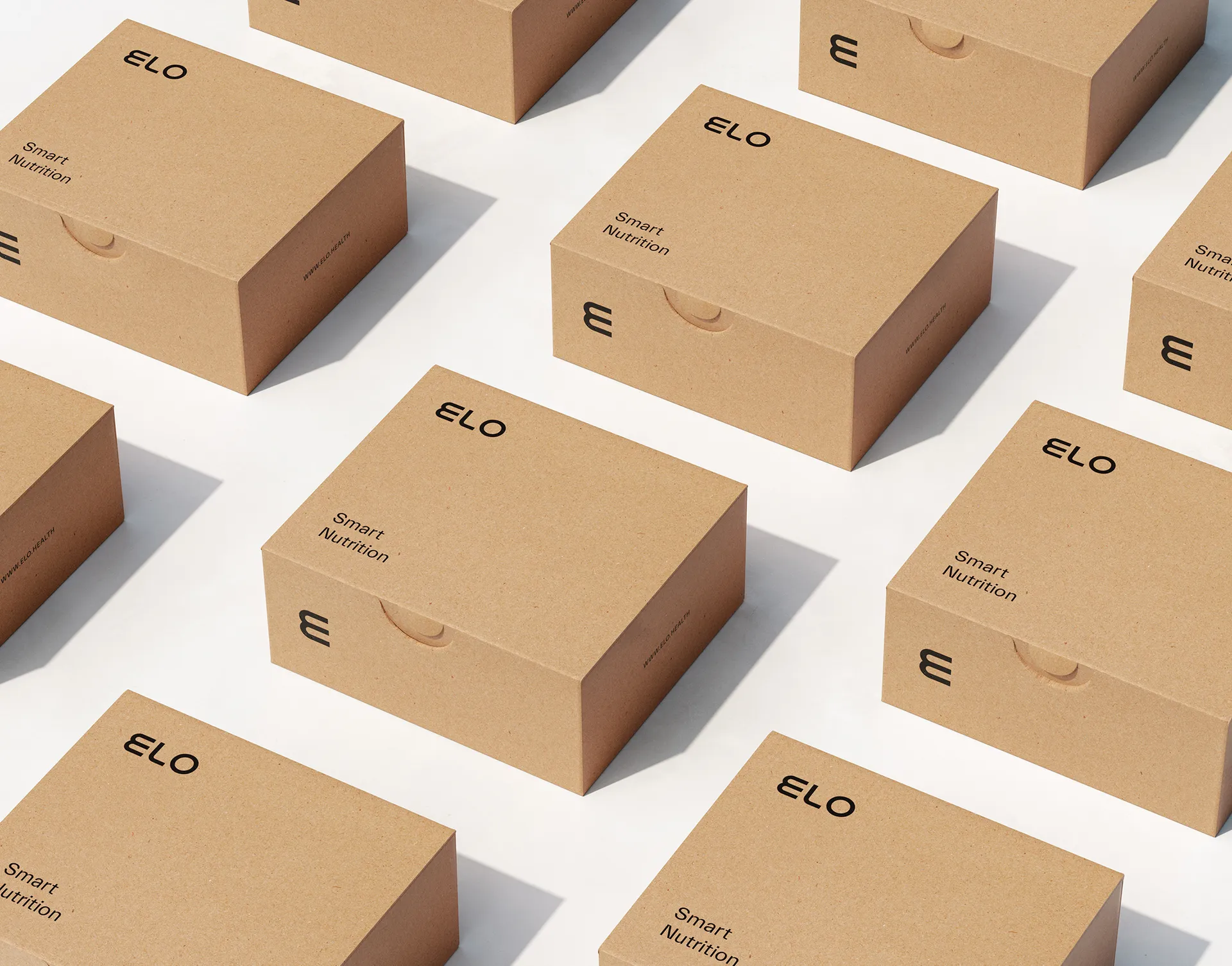 ELO Mailer Array 2200x1725px