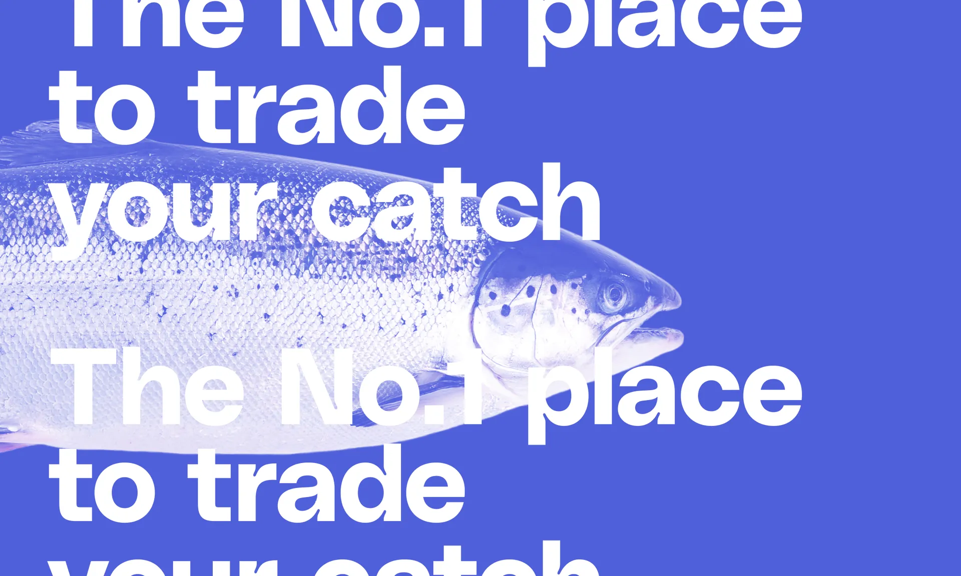 Fished Type Overlay 2200x1320