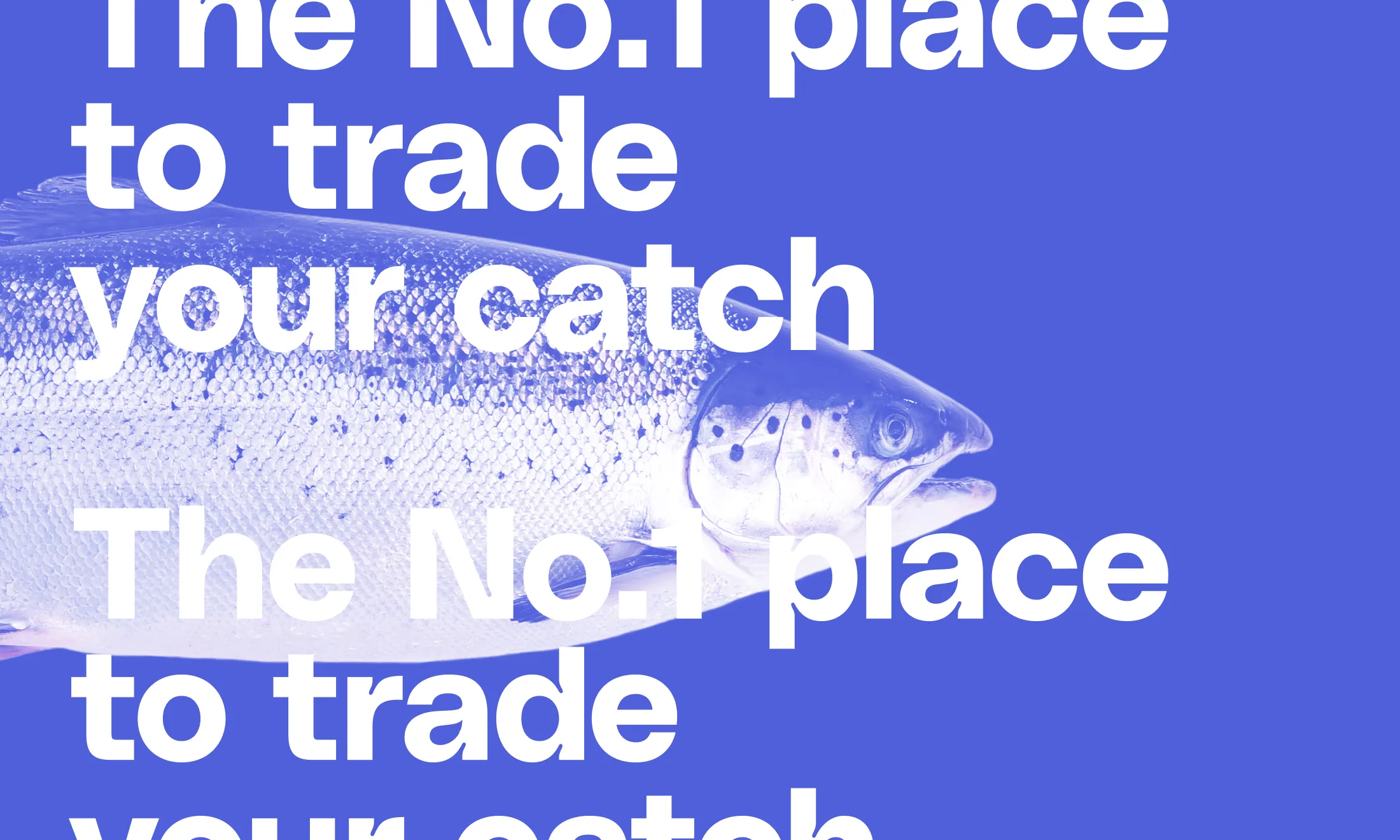 Fished Type Overlay 2200x1320