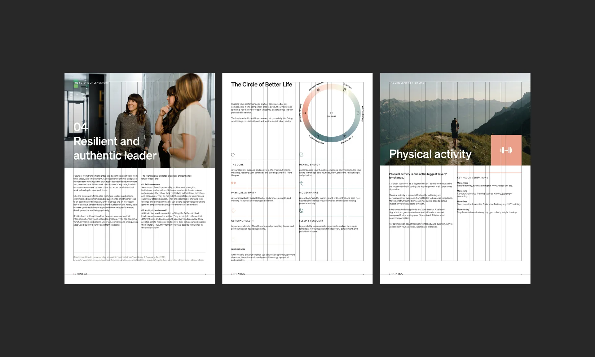 Hintsa Application Grid 2200x1320