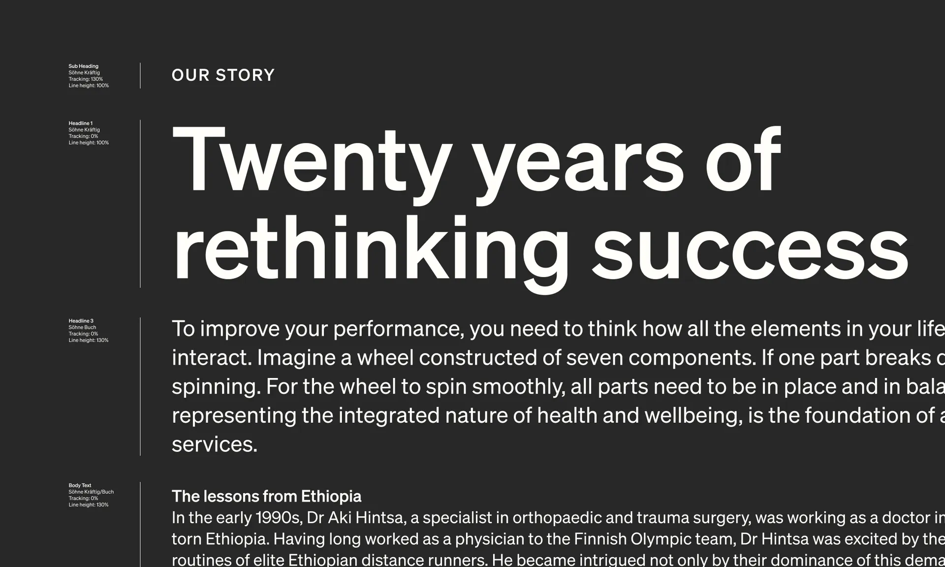 Hintsa Specimen 2200x1320