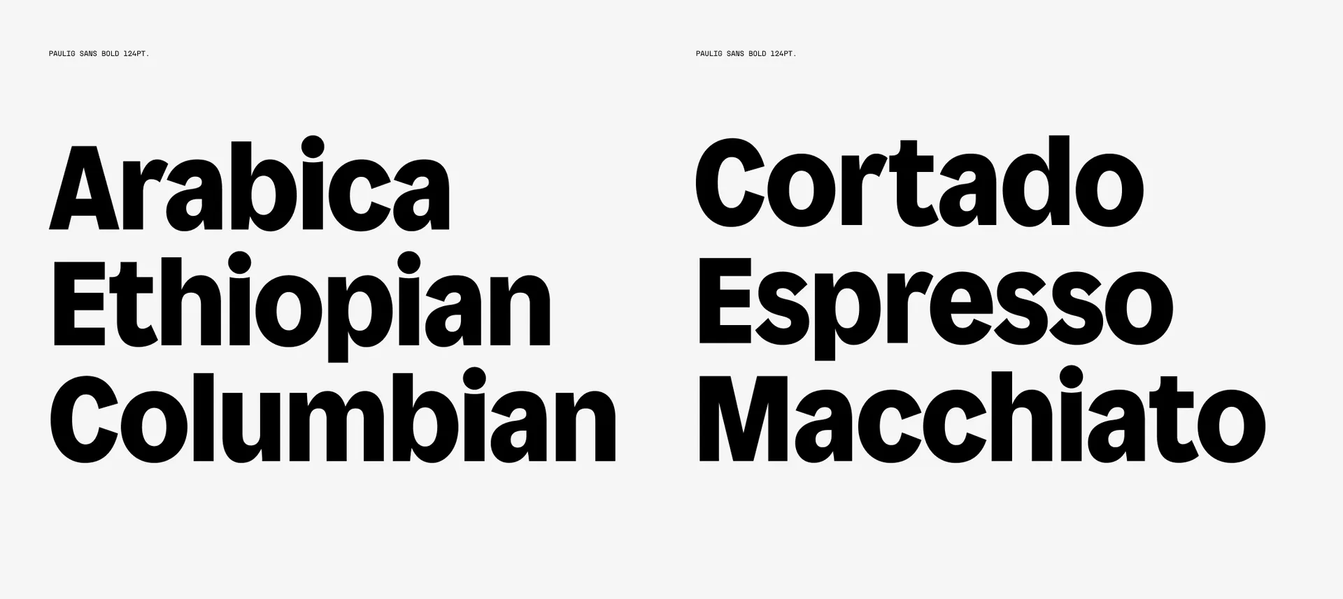 Pau Specimen 01 2200x983