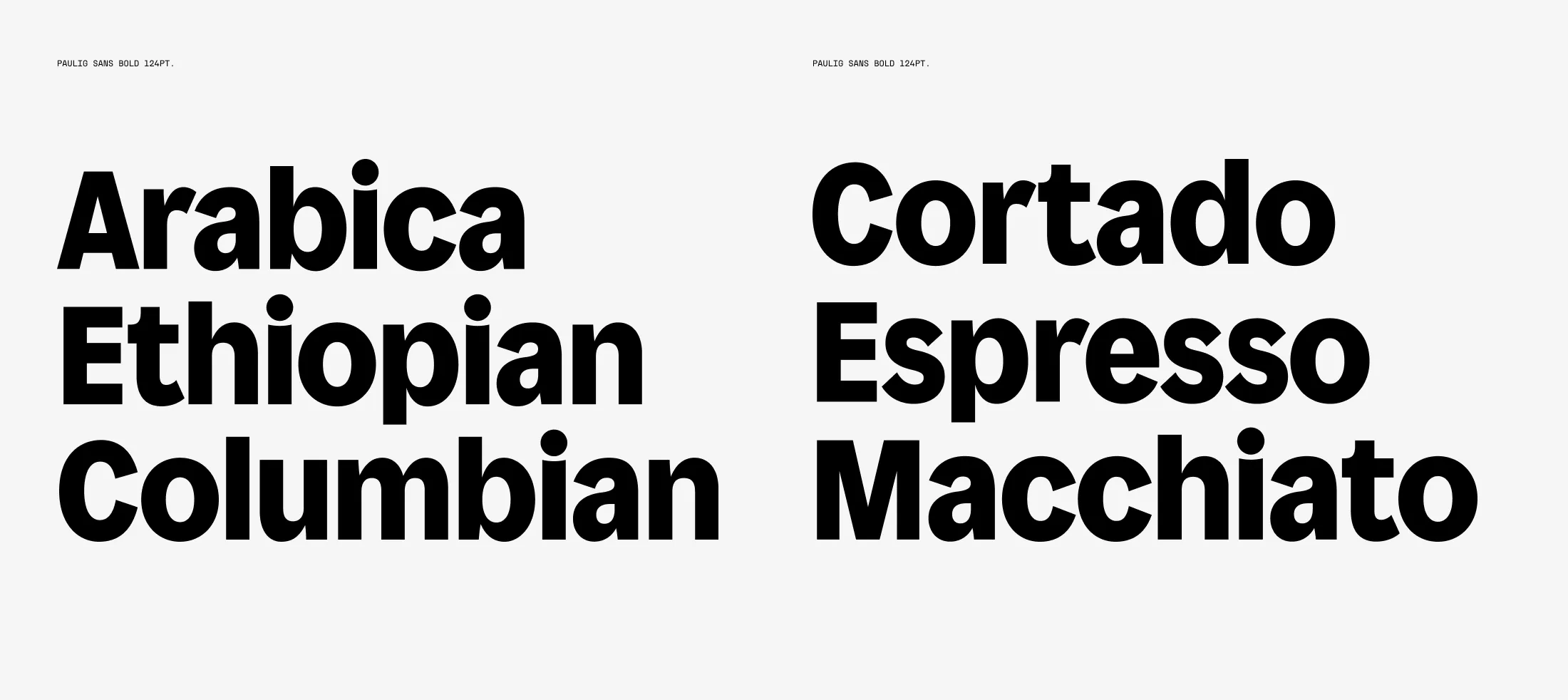 Pau Specimen 01 2200x983