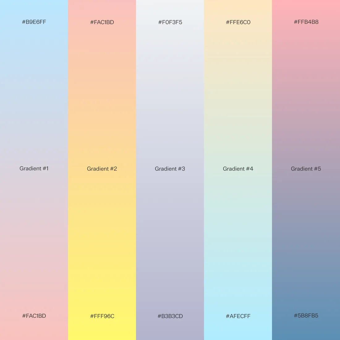 PLE Gradient 1100x1100px