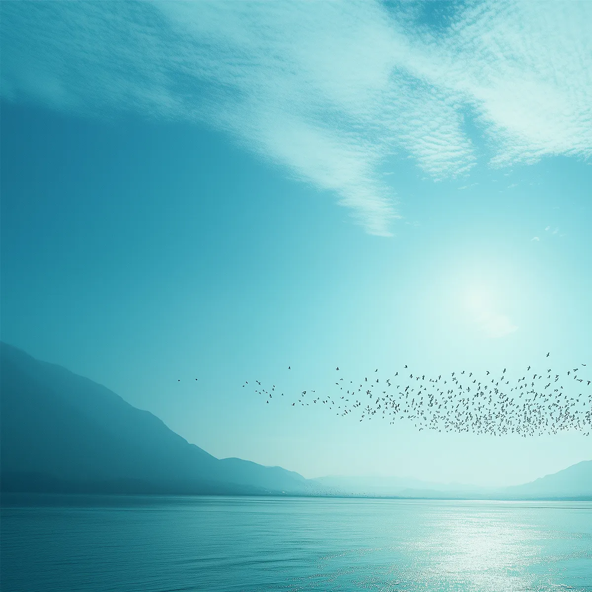 PROXY Pledge Ventures gallery 4