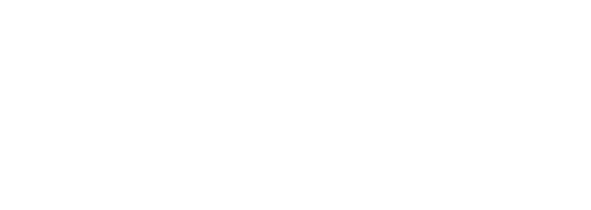 Wondershop_Logo_2200x784px